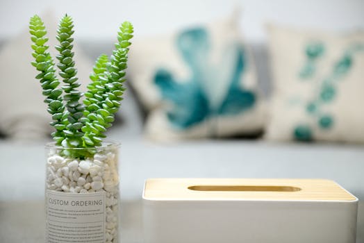 Een interieur vol planten: gezond en gezellig