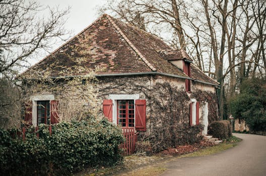 Wonen in Frankrijk: de charme van het platteland