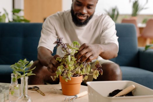 Binnenplanten verzorgen: zo houd je ze gezond